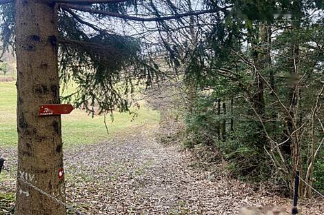 Дом, Яворник: 13