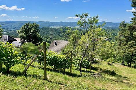 Жилище, Мали Чирник возле Шентьяня: 7