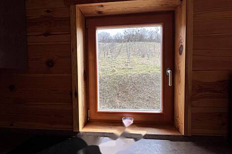 Дом, Долина возле Лендавы: 9