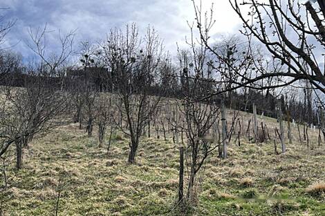 Дом, Долина возле Лендавы: 23