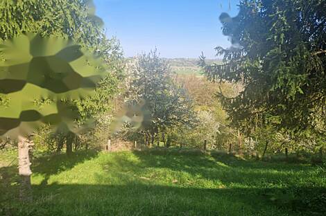 Козяк над Песницей, это дом.: 4