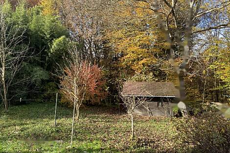 Плинтовец, дом: 6