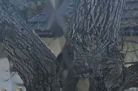 Дом на месте Сёл около Добови: 9