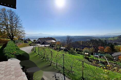 Дом, Словенская-Бистрица: 11