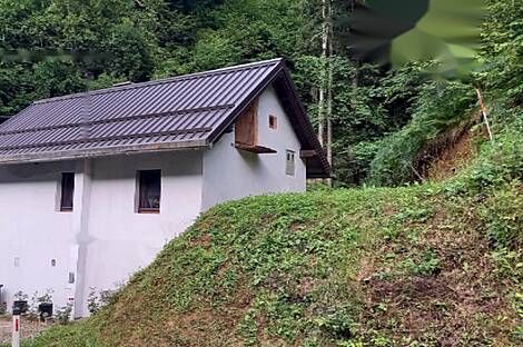 Дом в Нижней Орлице: 2