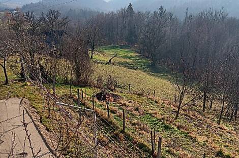 Здание в Штайнгробе: 19