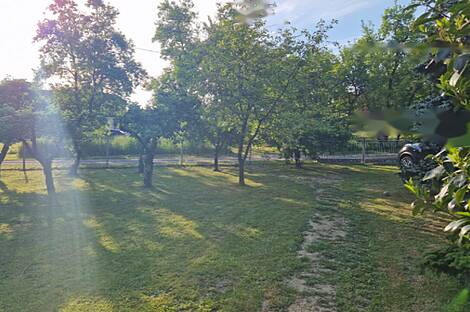 Дом, Доманижевские ребята: 5