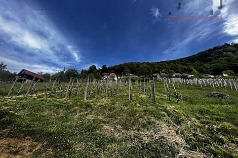 Дом в Горловине: 5