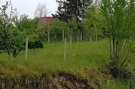 Нижний Слемен, дом: 4