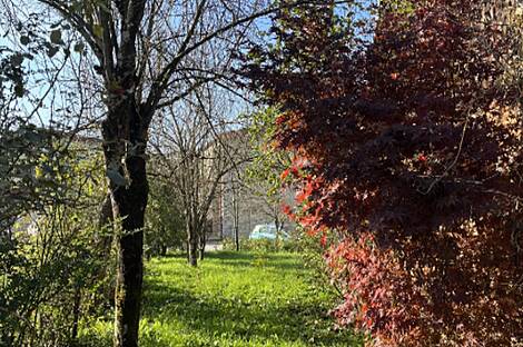 Здание, Виница: 12