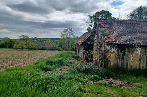 Крижевац, дом: 3