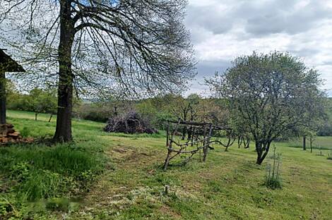 Крижевац, дом: 4