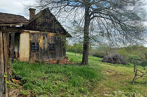 Крижевац, дом: 5