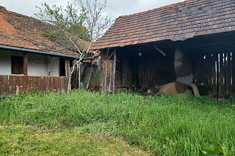 Крижевац, дом: 9