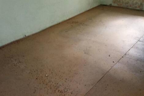 Дом, Лига, Документы: 11