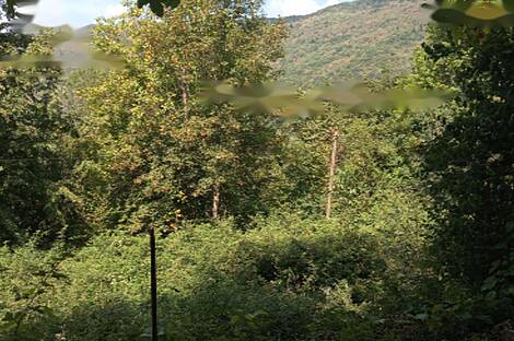 Дом, Лига, Документы: 16