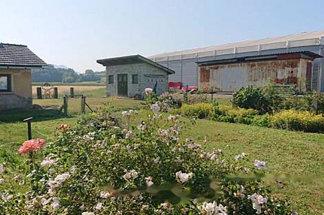 Збелово дом: 12