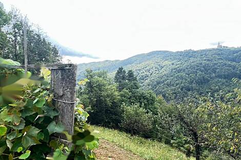 Здание на горе Бруншка: 7