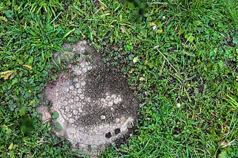 Дом, Петишовци: 10