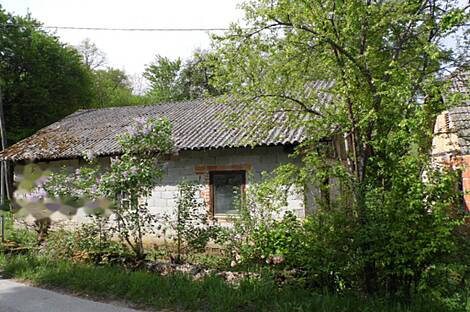 Церов Лог - это дом.: 4