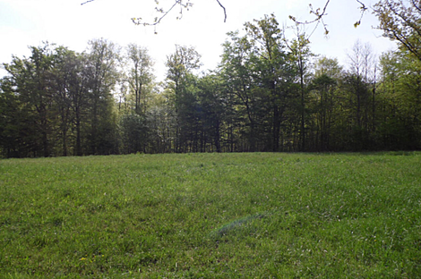 Церов Лог - это дом.: 7