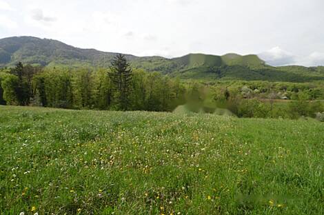 Церов Лог - это дом.: 9