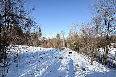 Дом, Явор, Любляна Добрунье: 8