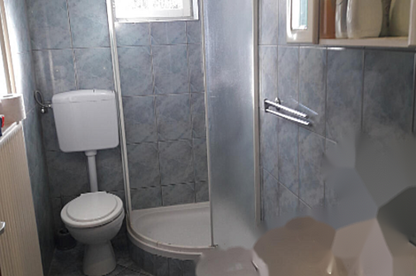 Дом в деревне Радовице: 5