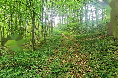 Обитель Друго Чагона: 18