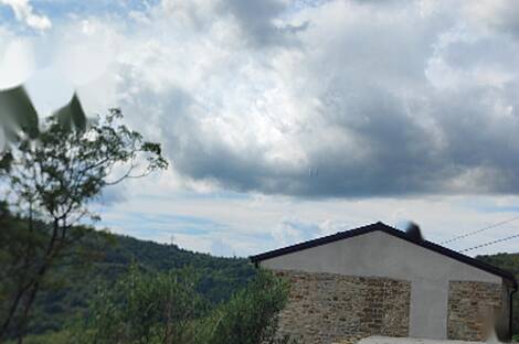 Копер, дом: 17