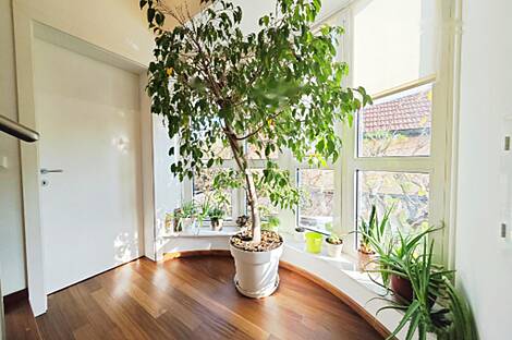 Любляна Бежиград дом: 10