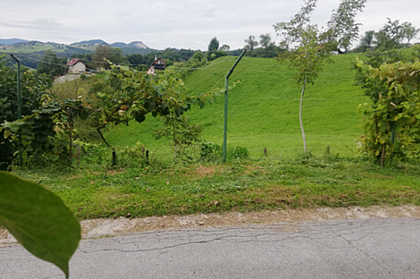 Дом, Забика, Пустики.: 9