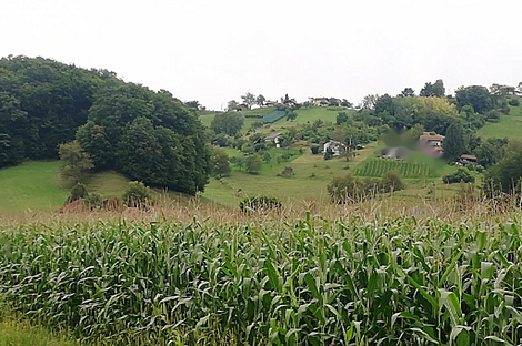 Дом, Забика, Пустики.: 10