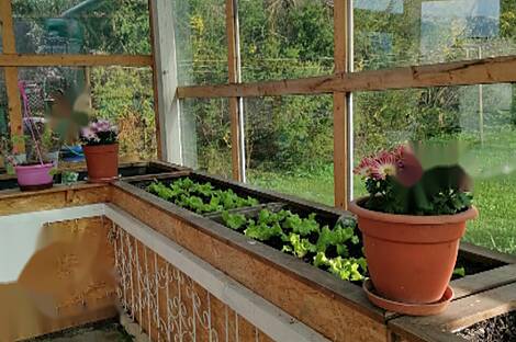 Дом, Верхние Горе, Блед.: 3