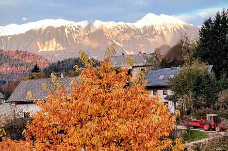 Дом, Верхние Горе, Блед.: 4