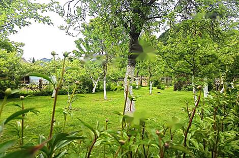 Дом, Верхние Горе, Блед.: 10