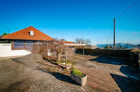 Коммерческая недвижимость в Бежиграде: 7