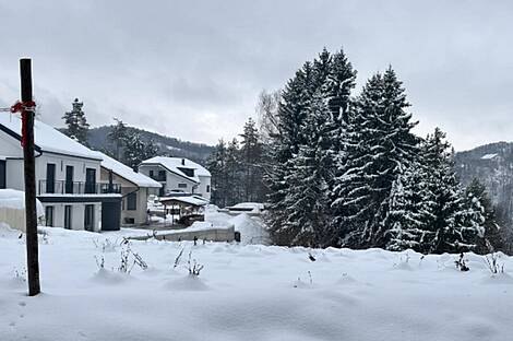 Дом, Двойняшки Верхняя Бесница: 15