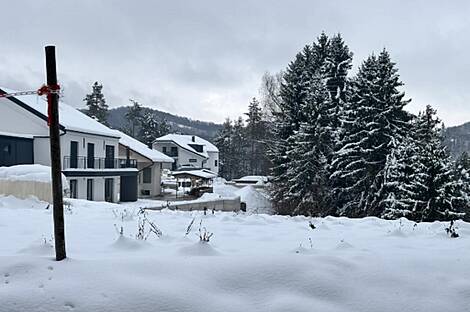 Дом, Двойняшки Верхняя Бесница: 19