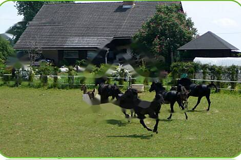 Жилище в Верхней Липнице: 29