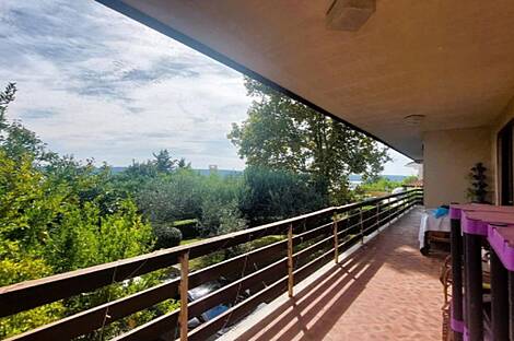 Сеча, дом: 19