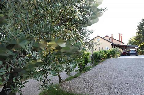 Обитель Драгонья: 4