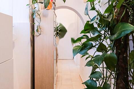 Апартаменты в центре Любляны: 11