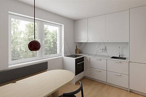 Дом 1,5-комн. Новая Шишка: 13