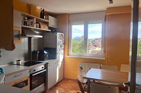 Квартира с двумя комнатами в Топнишке: 1