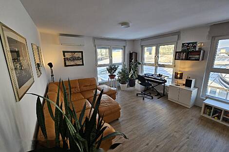 Жилье на улице Пальмеева: 1