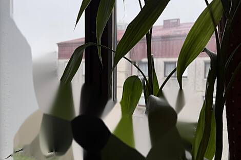 Квартира из четырех комнат: 16