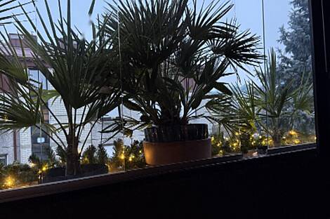 Квартира из четырех комнат: 27