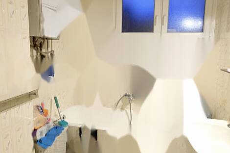 Четырёхкомнатная квартира Новая ЛЮБЛЯНА ВИЧ: 13