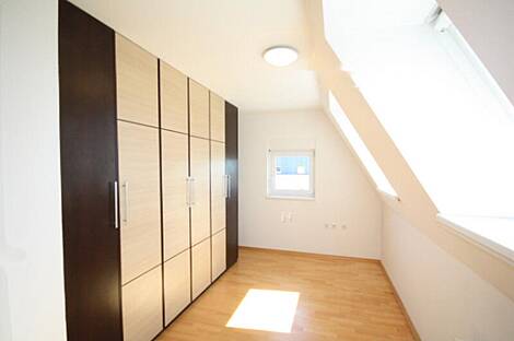 Любляна, 5+ комнат, квартира: 11